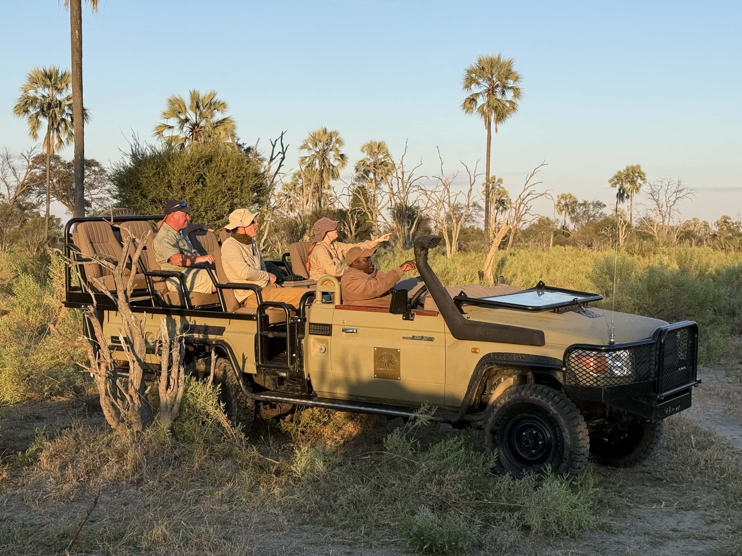 An open game viewer with guests under palms in the dry bush